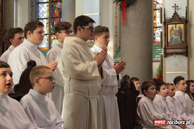 Zdjęcie w galerii na portalu naszraciborz.pl: Ministranci z powiatu raciborskiego przyjęli funkcję lektora  wiadomości z regionu