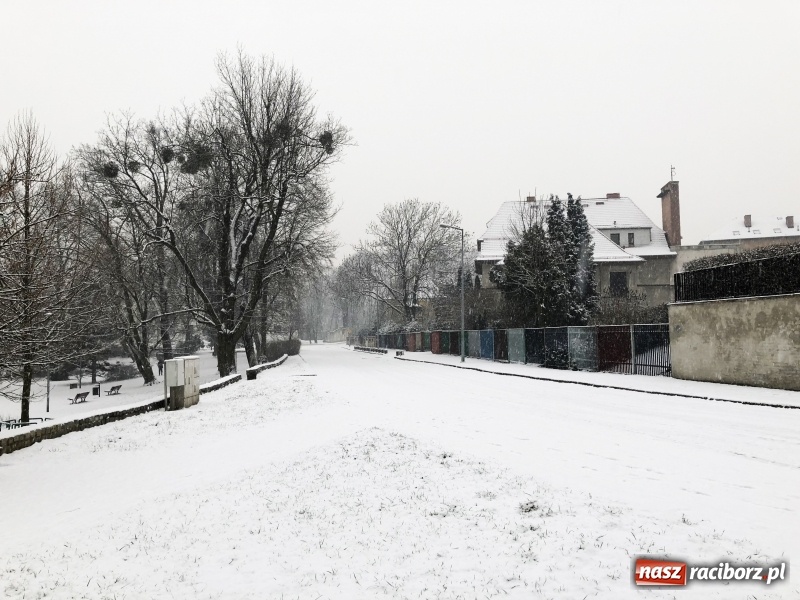 Zdjęcie w galerii na portalu naszraciborz.pl: Zima zawitała do Raciborza. Zobacz, jak miasto prezentuje się w śnieżnej scenerii  wiadomości z regionu