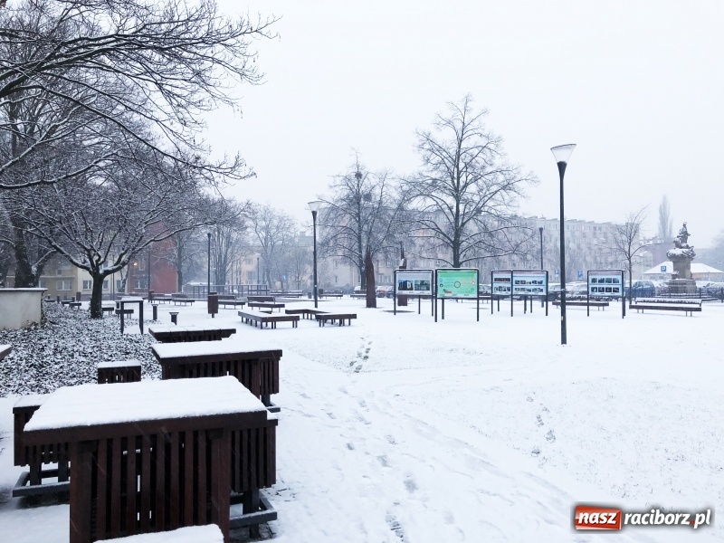 Zdjęcie w galerii na portalu naszraciborz.pl: Zima zawitała do Raciborza. Zobacz, jak miasto prezentuje się w śnieżnej scenerii  wiadomości z regionu