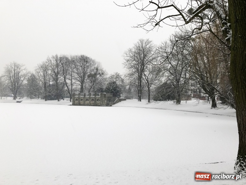 Zdjęcie w galerii na portalu naszraciborz.pl: Zima zawitała do Raciborza. Zobacz, jak miasto prezentuje się w śnieżnej scenerii  wiadomości z regionu