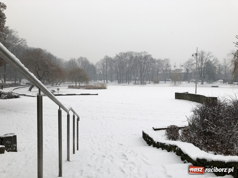 Zdjęcie w galerii na portalu naszraciborz.pl: Zima zawitała do Raciborza. Zobacz, jak miasto prezentuje się w śnieżnej scenerii  wiadomości z regionu