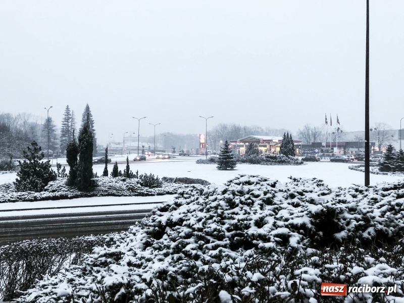 Zdjęcie w galerii na portalu naszraciborz.pl: Zima zawitała do Raciborza. Zobacz, jak miasto prezentuje się w śnieżnej scenerii  wiadomości z regionu