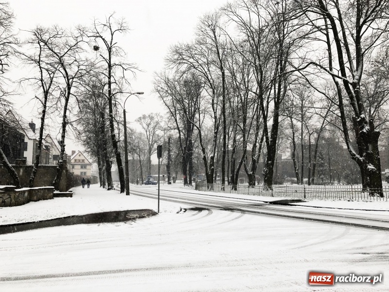 Zdjęcie w galerii na portalu naszraciborz.pl: Zima zawitała do Raciborza. Zobacz, jak miasto prezentuje się w śnieżnej scenerii  wiadomości z regionu