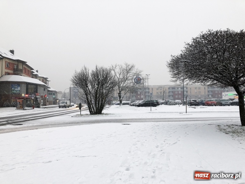 Zdjęcie w galerii na portalu naszraciborz.pl: Zima zawitała do Raciborza. Zobacz, jak miasto prezentuje się w śnieżnej scenerii  wiadomości z regionu