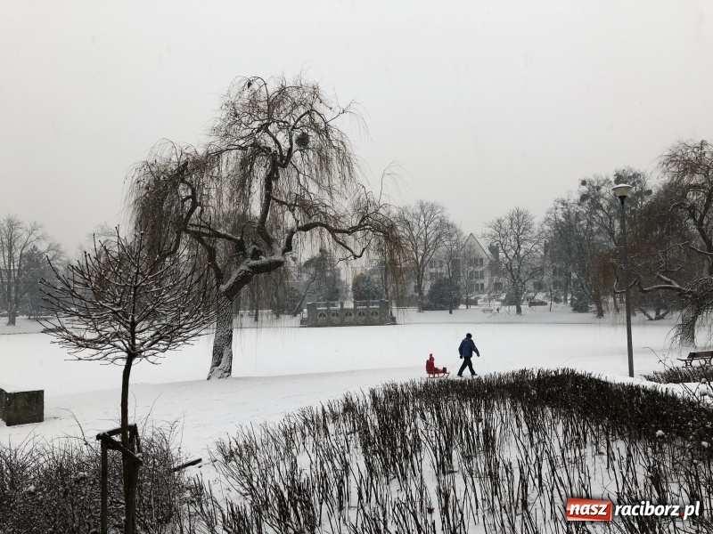 Zdjęcie w galerii na portalu naszraciborz.pl: Zima zawitała do Raciborza. Zobacz, jak miasto prezentuje się w śnieżnej scenerii  wiadomości z regionu