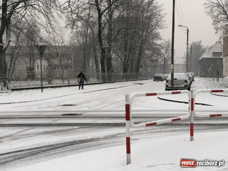 Zdjęcie w galerii na portalu naszraciborz.pl: Zima zawitała do Raciborza. Zobacz, jak miasto prezentuje się w śnieżnej scenerii  wiadomości z regionu