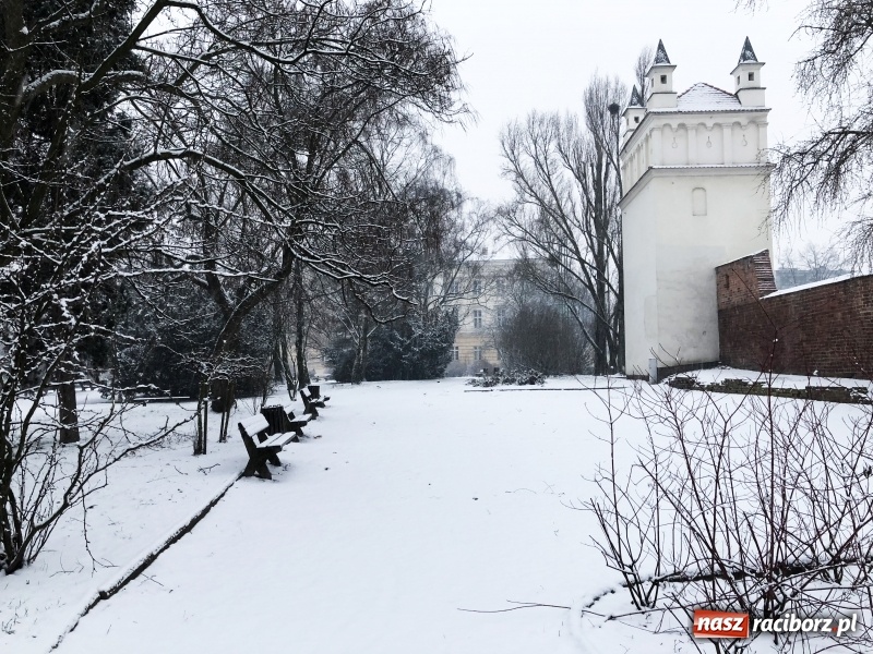 Zdjęcie w galerii na portalu naszraciborz.pl: Zima zawitała do Raciborza. Zobacz, jak miasto prezentuje się w śnieżnej scenerii  wiadomości z regionu