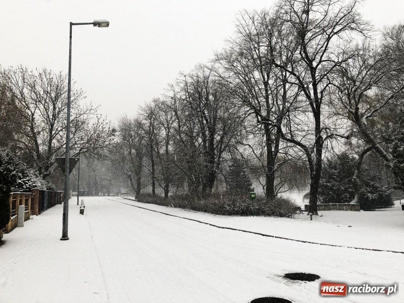 Zdjęcie w galerii na portalu naszraciborz.pl: Zima zawitała do Raciborza. Zobacz, jak miasto prezentuje się w śnieżnej scenerii  wiadomości z regionu