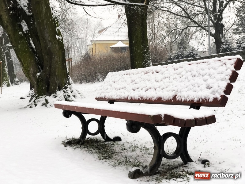 Zdjęcie w galerii na portalu naszraciborz.pl: Zima zawitała do Raciborza. Zobacz, jak miasto prezentuje się w śnieżnej scenerii  wiadomości z regionu