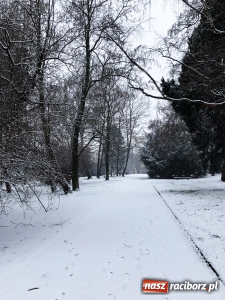 Zdjęcie w galerii na portalu naszraciborz.pl: Zima zawitała do Raciborza. Zobacz, jak miasto prezentuje się w śnieżnej scenerii  wiadomości z regionu