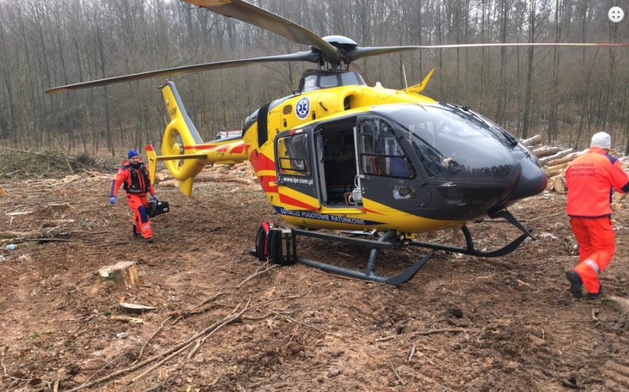 Zdjęcie w galerii na portalu naszraciborz.pl: 44-latek przygnieciony przez drzewo. Wezwano śmigłowiec  wiadomości z regionu
