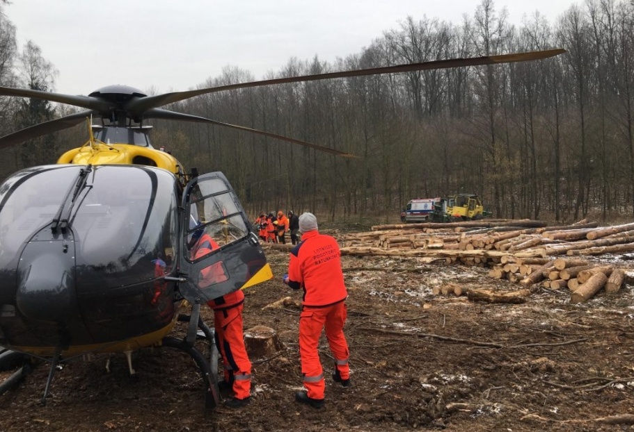Zdjęcie w galerii na portalu naszraciborz.pl: 44-latek przygnieciony przez drzewo. Wezwano śmigłowiec  wiadomości z regionu