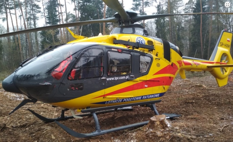 Zdjęcie w galerii na portalu naszraciborz.pl: 44-latek przygnieciony przez drzewo. Wezwano śmigłowiec  wiadomości z regionu