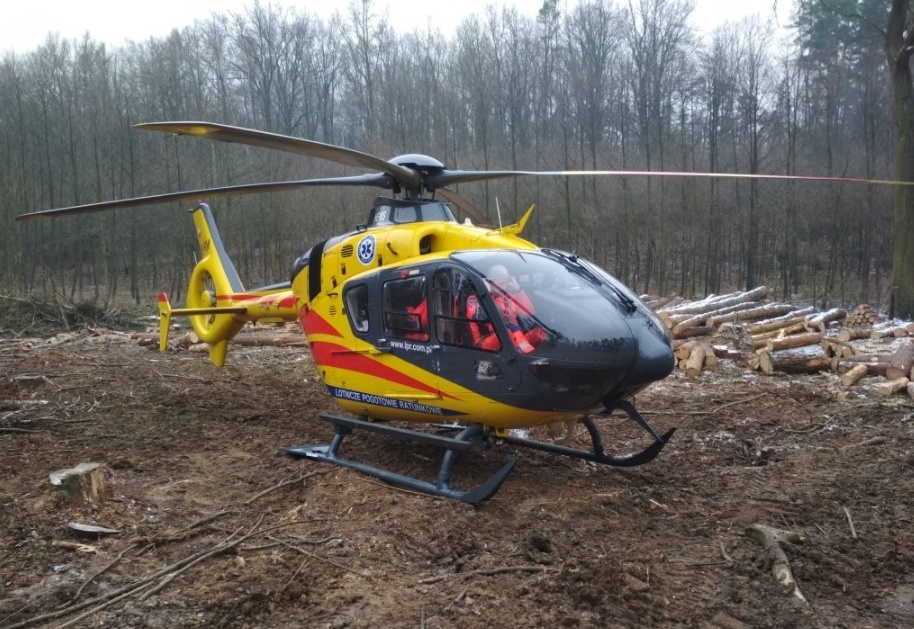 Zdjęcie w galerii na portalu naszraciborz.pl: 44-latek przygnieciony przez drzewo. Wezwano śmigłowiec  wiadomości z regionu