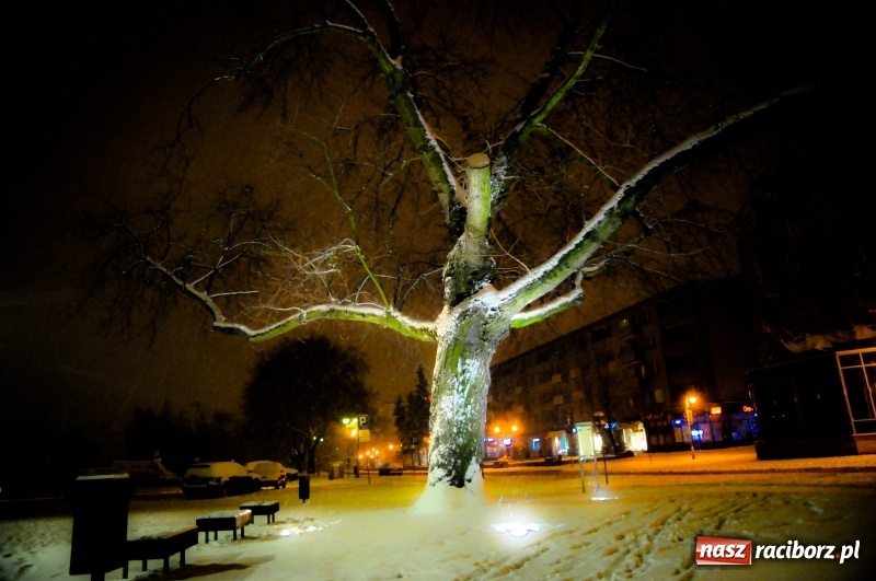 Zdjęcie w galerii na portalu naszraciborz.pl: Racibórz by night. W śniegu miasto wypiękniało  wiadomości z regionu