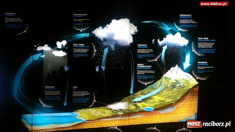 Zdjęcie w galerii na portalu naszraciborz.pl: Woda jest fantastyczna! Uczestnicy ferii z biblioteką na wycieczce w Hydropolis wiadomości z regionu