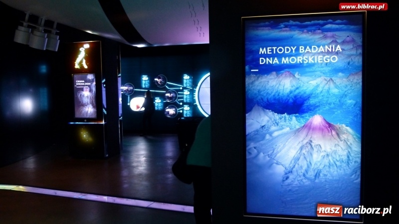 Zdjęcie w galerii na portalu naszraciborz.pl: Woda jest fantastyczna! Uczestnicy ferii z biblioteką na wycieczce w Hydropolis wiadomości z regionu