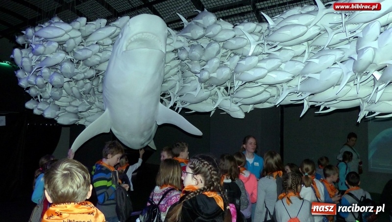 Zdjęcie w galerii na portalu naszraciborz.pl: Woda jest fantastyczna! Uczestnicy ferii z biblioteką na wycieczce w Hydropolis wiadomości z regionu
