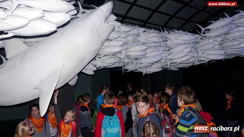 Zdjęcie w galerii na portalu naszraciborz.pl: Woda jest fantastyczna! Uczestnicy ferii z biblioteką na wycieczce w Hydropolis wiadomości z regionu