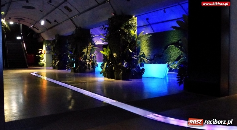 Zdjęcie w galerii na portalu naszraciborz.pl: Woda jest fantastyczna! Uczestnicy ferii z biblioteką na wycieczce w Hydropolis wiadomości z regionu