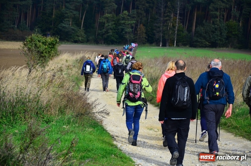 Zdjęcie w galerii na portalu naszraciborz.pl: Gmina Nędza na szlaku Camino de Santagio wiadomości z regionu