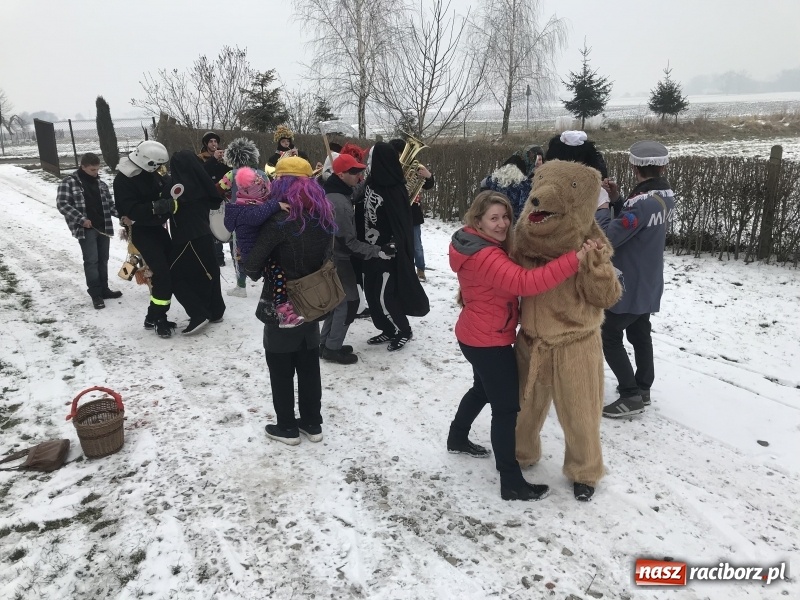 Zdjęcie w galerii na portalu naszraciborz.pl: Dziś ostatni weekend karnawału. W Sławikowie ruszyli rano na wodzenie niedźwiedzia  wiadomości z regionu