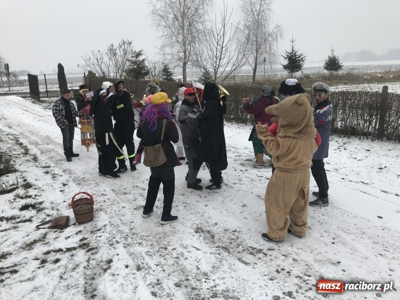 Zdjęcie w galerii na portalu naszraciborz.pl: Dziś ostatni weekend karnawału. W Sławikowie ruszyli rano na wodzenie niedźwiedzia  wiadomości z regionu