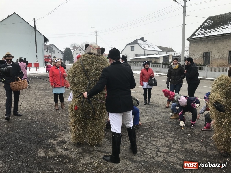 Zdjęcie w galerii na portalu naszraciborz.pl: Samborowicki tanzbär na koniec karnawału FOTO i WIDEO wiadomości z regionu