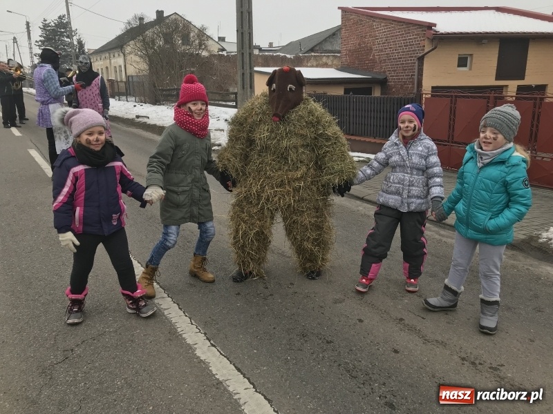 Zdjęcie w galerii na portalu naszraciborz.pl: Samborowicki tanzbär na koniec karnawału FOTO i WIDEO wiadomości z regionu