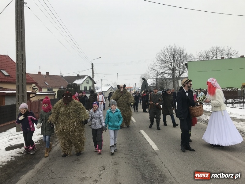 Zdjęcie w galerii na portalu naszraciborz.pl: Samborowicki tanzbär na koniec karnawału FOTO i WIDEO wiadomości z regionu