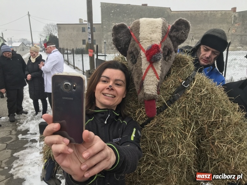 Zdjęcie w galerii na portalu naszraciborz.pl: Samborowicki tanzbär na koniec karnawału FOTO i WIDEO wiadomości z regionu