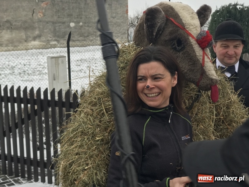 Zdjęcie w galerii na portalu naszraciborz.pl: Samborowicki tanzbär na koniec karnawału FOTO i WIDEO wiadomości z regionu
