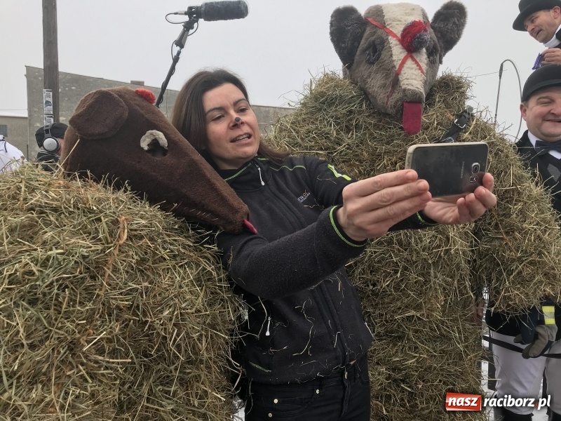 Zdjęcie w galerii na portalu naszraciborz.pl: Samborowicki tanzbär na koniec karnawału FOTO i WIDEO wiadomości z regionu