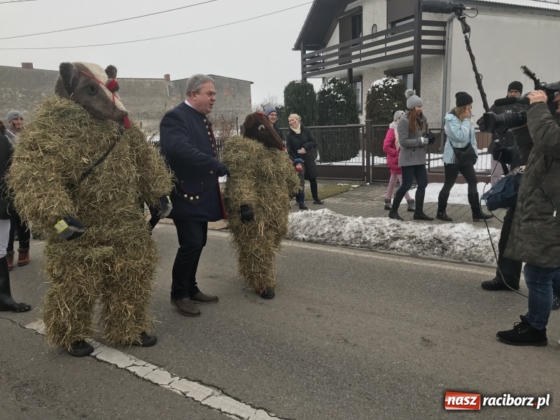 Zdjęcie w galerii na portalu naszraciborz.pl: Samborowicki tanzbär na koniec karnawału FOTO i WIDEO wiadomości z regionu