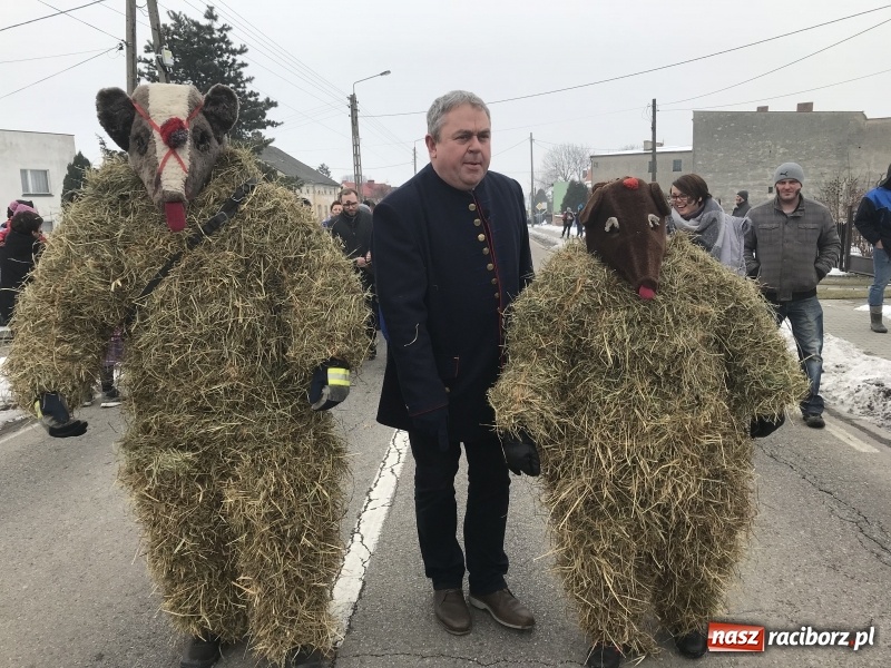 Zdjęcie w galerii na portalu naszraciborz.pl: Samborowicki tanzbär na koniec karnawału FOTO i WIDEO wiadomości z regionu