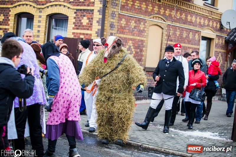 Zdjęcie w galerii na portalu naszraciborz.pl: Samborowicki tanzbär na koniec karnawału FOTO i WIDEO wiadomości z regionu