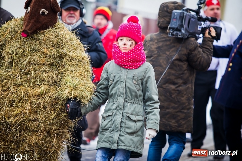 Zdjęcie w galerii na portalu naszraciborz.pl: Samborowicki tanzbär na koniec karnawału FOTO i WIDEO wiadomości z regionu