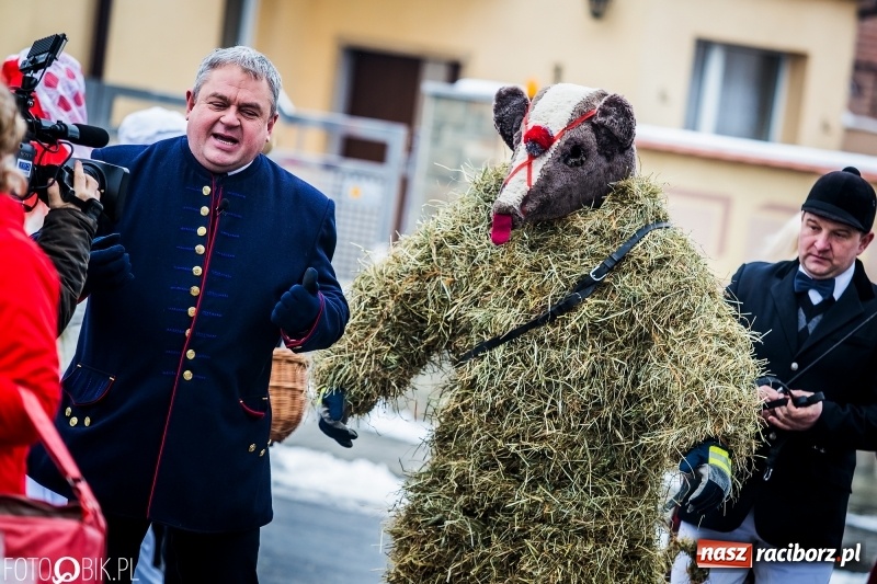 Zdjęcie w galerii na portalu naszraciborz.pl: Samborowicki tanzbär na koniec karnawału FOTO i WIDEO wiadomości z regionu