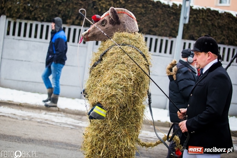 Zdjęcie w galerii na portalu naszraciborz.pl: Samborowicki tanzbär na koniec karnawału FOTO i WIDEO wiadomości z regionu