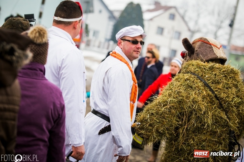 Zdjęcie w galerii na portalu naszraciborz.pl: Samborowicki tanzbär na koniec karnawału FOTO i WIDEO wiadomości z regionu