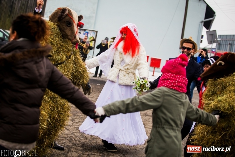 Zdjęcie w galerii na portalu naszraciborz.pl: Samborowicki tanzbär na koniec karnawału FOTO i WIDEO wiadomości z regionu