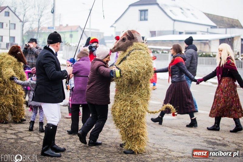 Zdjęcie w galerii na portalu naszraciborz.pl: Samborowicki tanzbär na koniec karnawału FOTO i WIDEO wiadomości z regionu