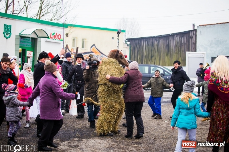 Zdjęcie w galerii na portalu naszraciborz.pl: Samborowicki tanzbär na koniec karnawału FOTO i WIDEO wiadomości z regionu