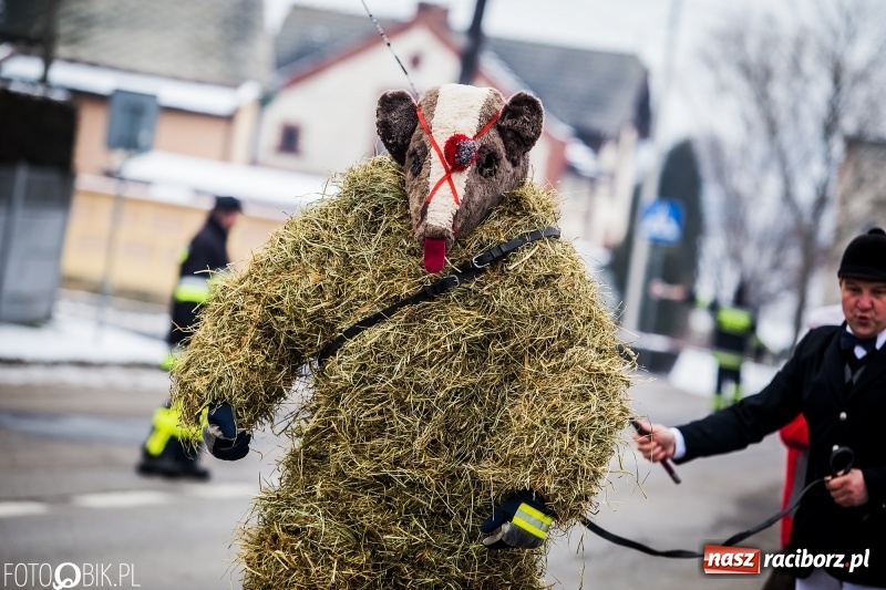 Zdjęcie w galerii na portalu naszraciborz.pl: Samborowicki tanzbär na koniec karnawału FOTO i WIDEO wiadomości z regionu