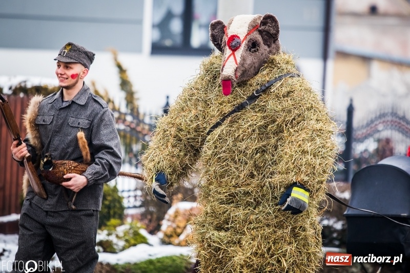 Zdjęcie w galerii na portalu naszraciborz.pl: Samborowicki tanzbär na koniec karnawału FOTO i WIDEO wiadomości z regionu