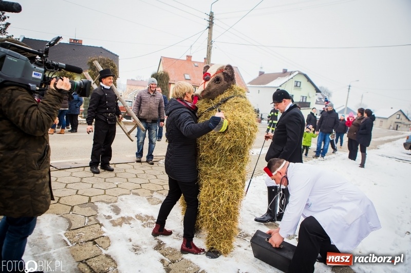Zdjęcie w galerii na portalu naszraciborz.pl: Samborowicki tanzbär na koniec karnawału FOTO i WIDEO wiadomości z regionu
