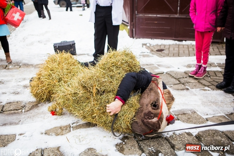 Zdjęcie w galerii na portalu naszraciborz.pl: Samborowicki tanzbär na koniec karnawału FOTO i WIDEO wiadomości z regionu