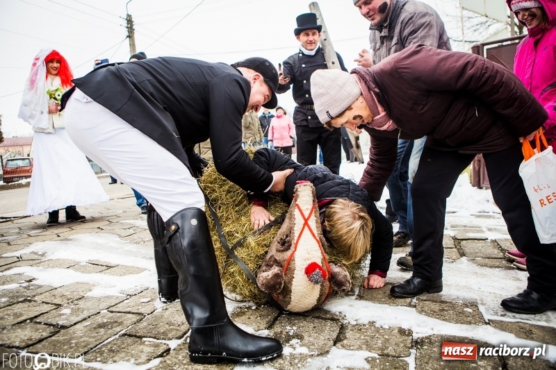 Zdjęcie w galerii na portalu naszraciborz.pl: Samborowicki tanzbär na koniec karnawału FOTO i WIDEO wiadomości z regionu