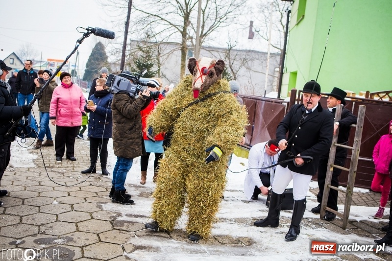 Zdjęcie w galerii na portalu naszraciborz.pl: Samborowicki tanzbär na koniec karnawału FOTO i WIDEO wiadomości z regionu