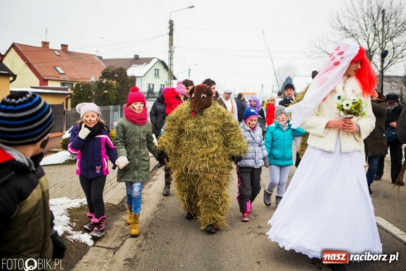 Zdjęcie w galerii na portalu naszraciborz.pl: Samborowicki tanzbär na koniec karnawału FOTO i WIDEO wiadomości z regionu